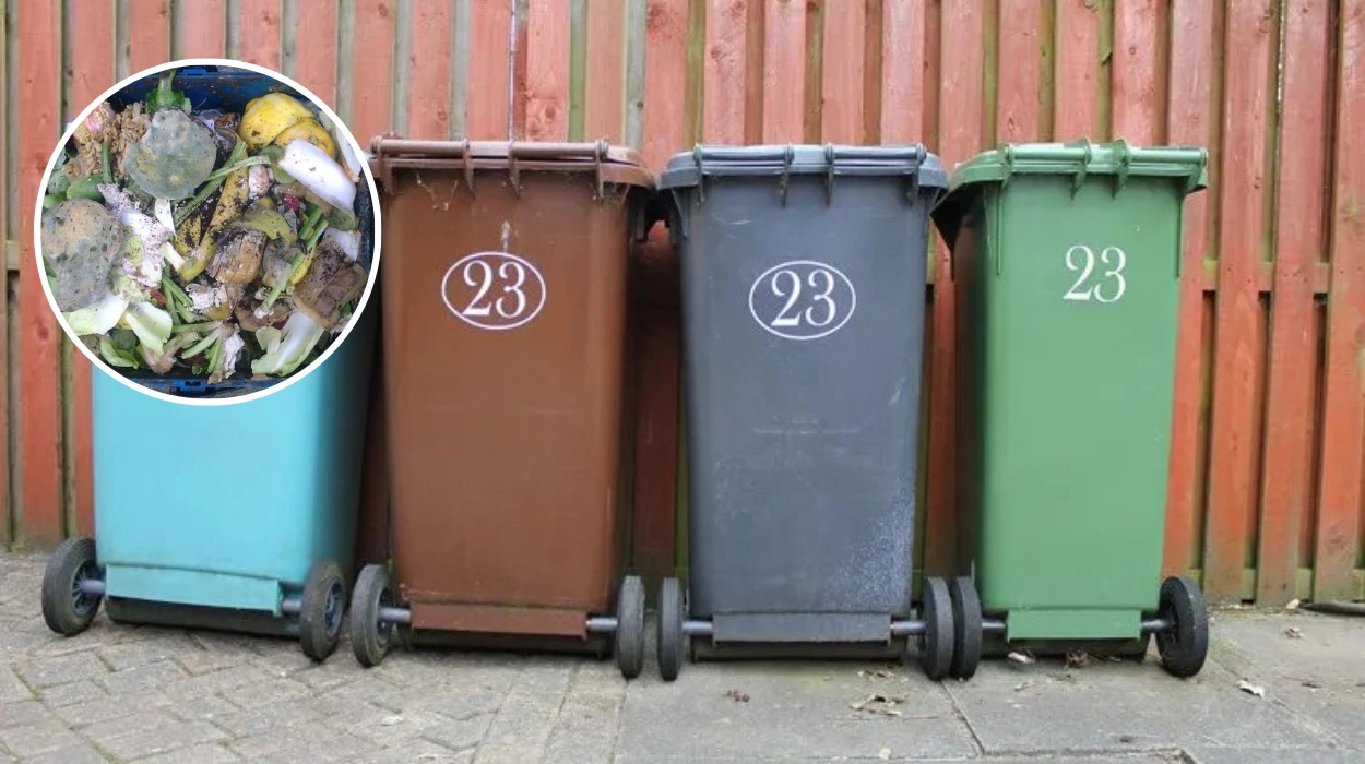 Havering Weekly food waste collection service in borough to cost £4million