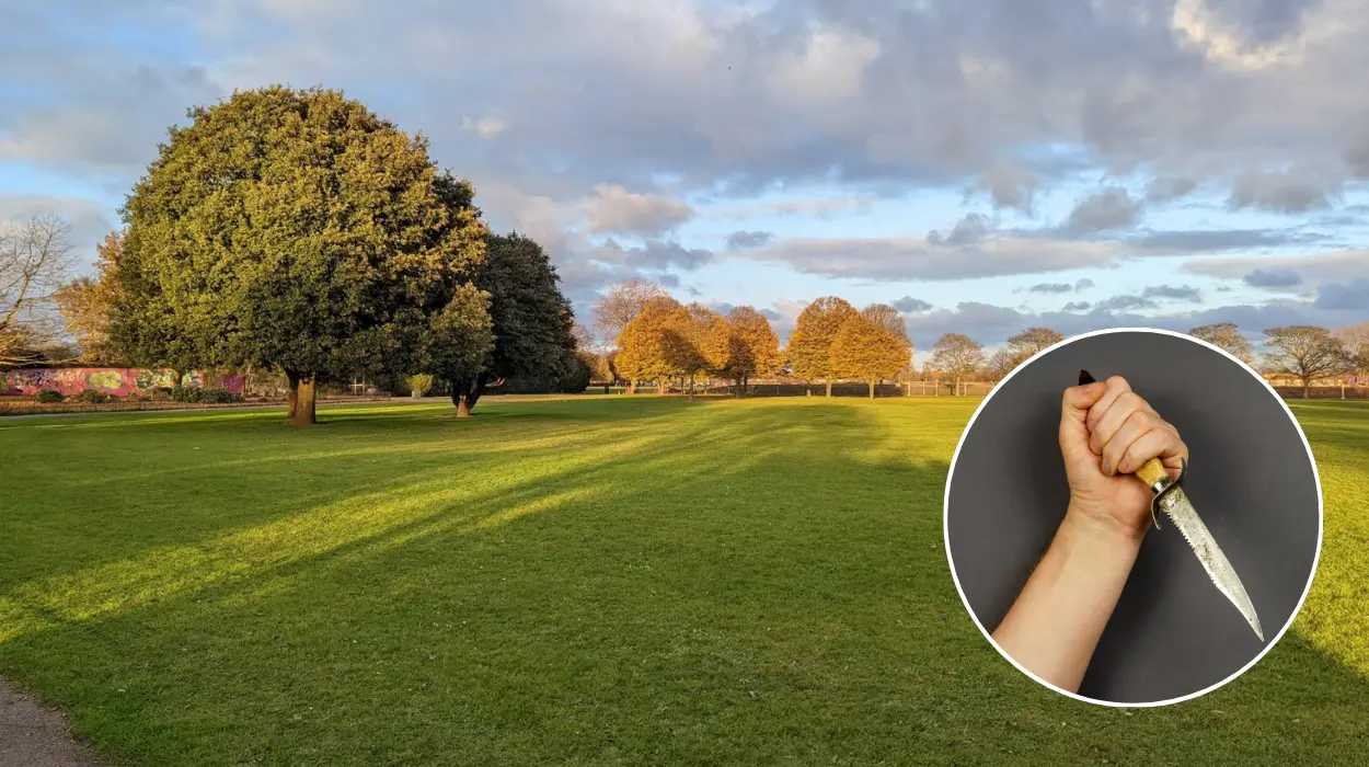 Dagenham: armed police arrest 3 teenagers in Parsloes Park following knife report