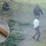 Poplar Park Attack: Hooded Gang Assaults Man with Axe and Machete in Broad Daylight