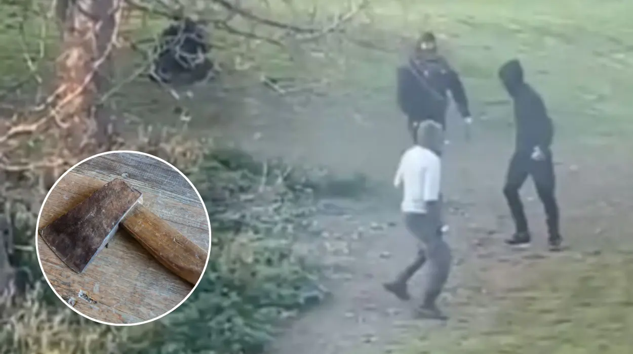 Poplar Park Attack: Hooded Gang Assaults Man with Axe and Machete in Broad Daylight