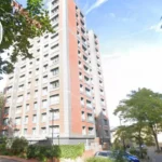 Murder victim found at Hatfield Close, New Cross, identified as Hien Vu