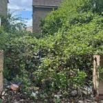 Neighbours’ fury over man’s overgrown ‘jungle’ garden in Dagenham