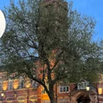 Pregnant woman punched and robbed outside East Ham station as 17-year-old arrested in urgent police operation