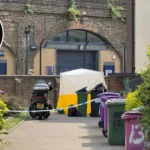 Mile End stabbing: Rio Lue, 17, arrested after 20-year-old man killed in residential attack