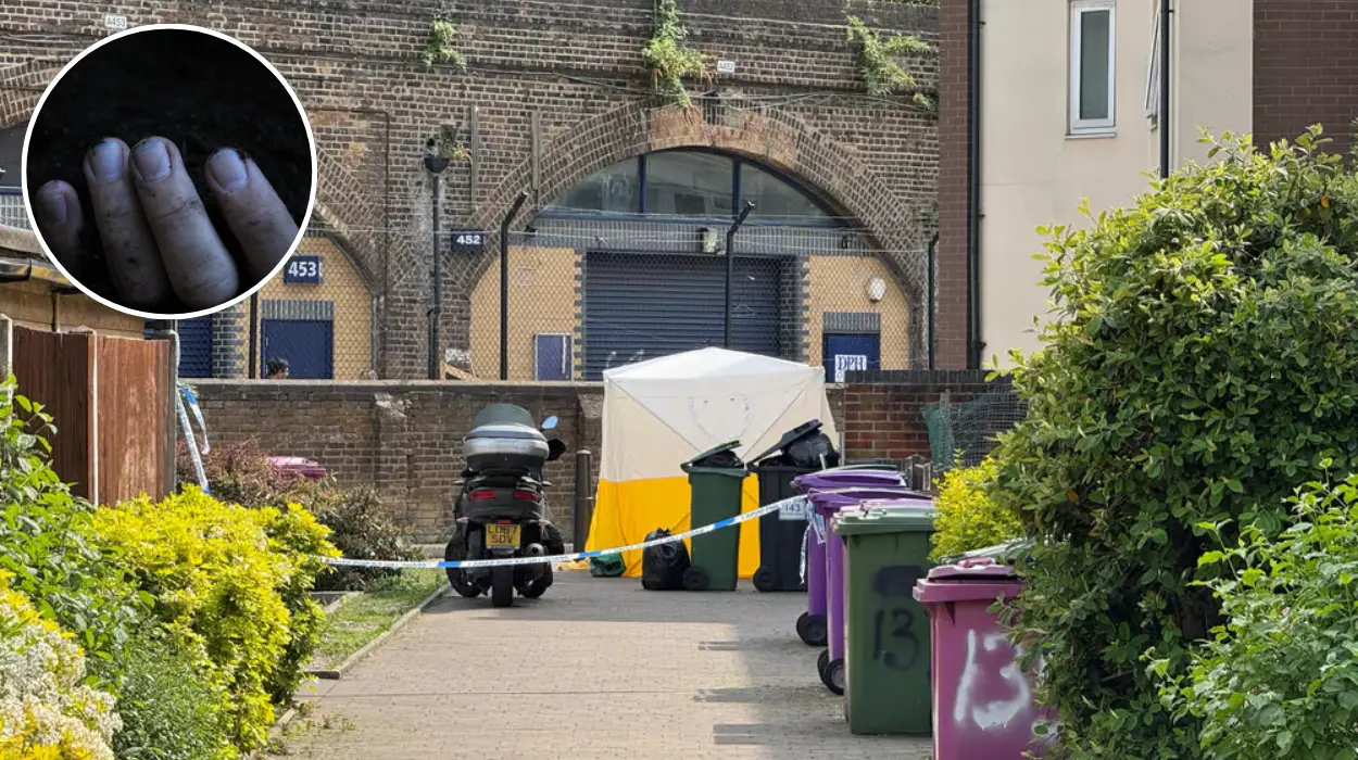 Mile End stabbing: Rio Lue, 17, arrested after 20-year-old man killed in residential attack