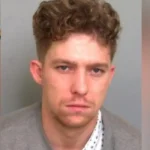 Rainham A13: Police Dog Catches Disqualified Driver After 100mph Wrong-Way Chase