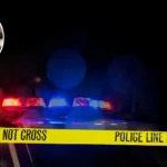 Three Hospitalised After Forest Gate Shooting: Emergency Services Rush to Upton Lane Incident