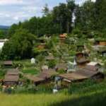 Havering Council Protects Five Green Spaces as Village Greens Amid Development