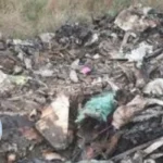 Local Resident Wins Landmark Case Against Havering Council