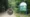 Dead Snake in Havering Country Park Confirmed as Non-UK Species
