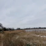 Hackney’s Hidden Beauty Spot Serves Ice Cream Cocktails Every Friday