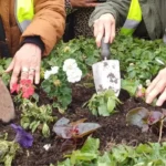 Ilford Flower Planting and Litter-Picking Day Boosts Redbridge Community