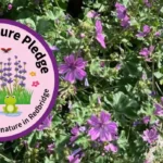 Redbridge Restore Nature Pledge Roadshows for Great Big Green Week 2025