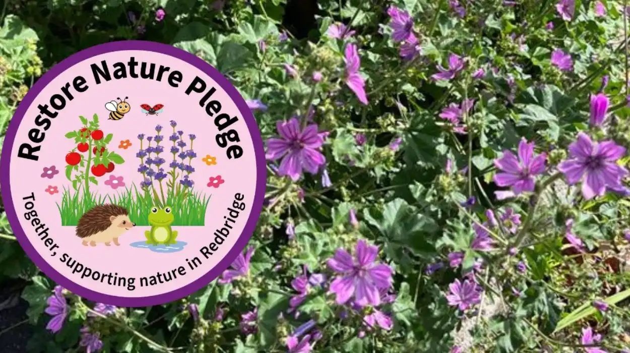 Redbridge Restore Nature Pledge Roadshows for Great Big Green Week 2025