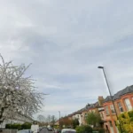 Lewisham murder Man charged after 87-year-old found dead