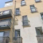 Rat Infestation at Hackney Crystal Court Flats in London