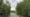 Havering Council Reviews Launders Lane Land Contamination Status