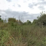 Launders Lane Meeting with MP Mullane on Underground Fires