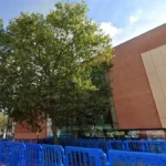 Newham Independents Win Plaistow South, Labour Faces Crisis