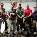 Dachshund Tosca Rescued from Foxhole in Hackney by Fire Brigade