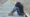East London Family Lived 8 Years in Temporary Middlesbrough Housing
