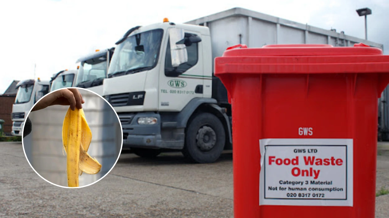 Havering Food Waste Collection Delayed to 2026, Council Update