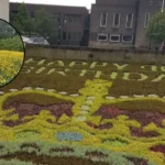 Havering Green Belt: Village Greens, Data Centre, Wildlife at Risk