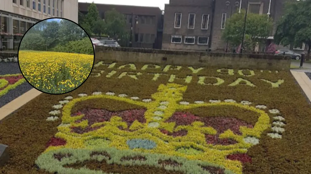 Havering Green Belt: Village Greens, Data Centre, Wildlife at Risk