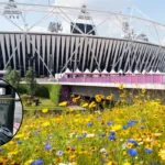 Newham Tops Britain’s Littering Fines: East London Borough