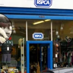 RSPCA East London and Havering Urges Adoption for Billy, Simba