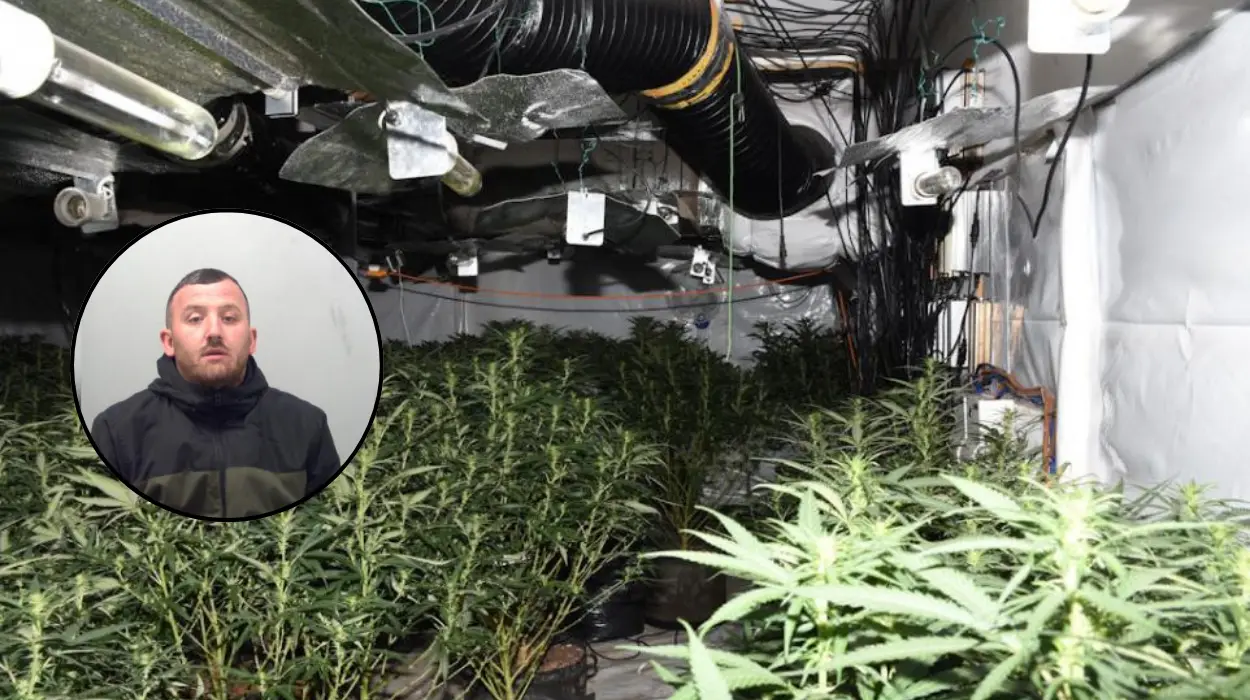 East London Men Jailed for Cannabis Operation in Grays