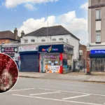 London New Year Eve Fireworks Safety Alert in East London 2025