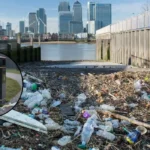 Newham Named England’s Worst for Littering