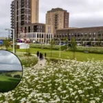 Discover Havering Hill Park: East London's Country Gem