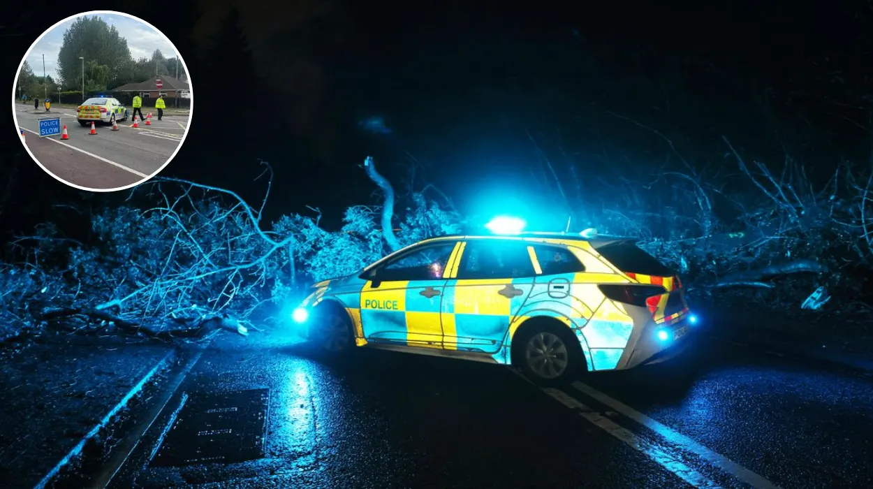 Gateshead fallen tree LIVE Road closed with police at scene near Lintzford