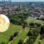 ONS Data Reveals Hackney’s Nappy Valleys and UK Elderly Enclaves