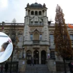 Redbridge Council, NHS Must Boost Patient Safety