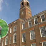 White Storks, Beavers Return to East London Wetlands