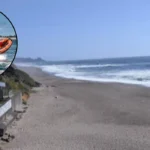 East London Christmas Drowning Search for Victim's Body Continues