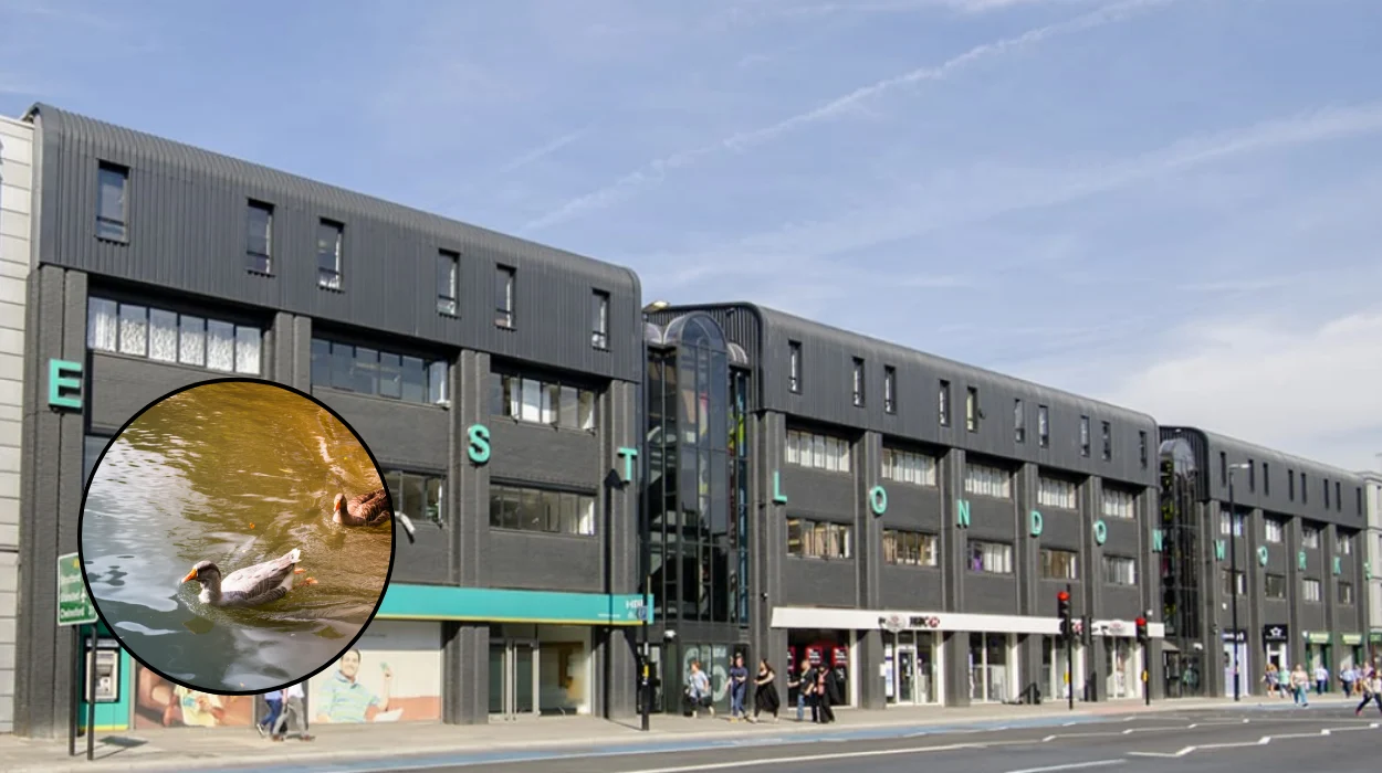 East London Waterworks Park: Wild Swimming Ponds Plan