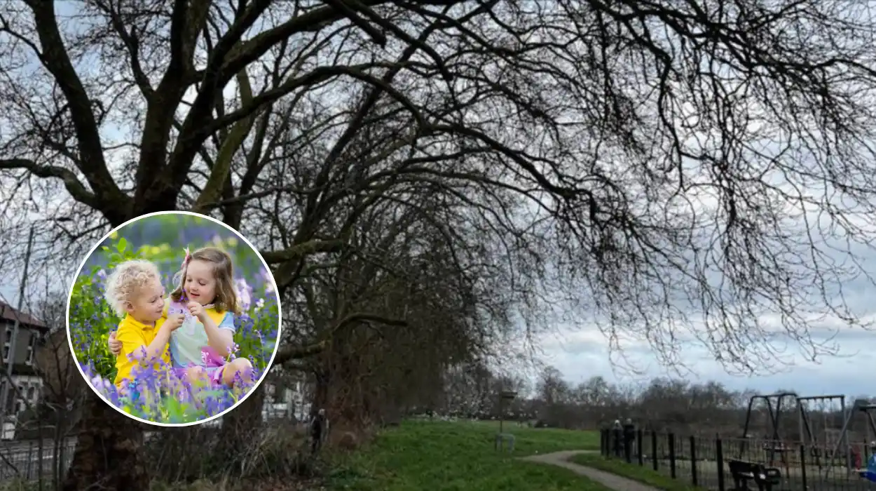 East London's Chalet Wood: Bluebells Bloom in Wanstead Park March