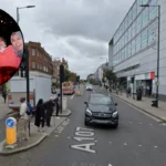 Hackney Carnival East London's Vibrant Mas Bands Legacy