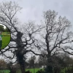 Harold Park Havering: History, Golf & Riverside Walks Guide