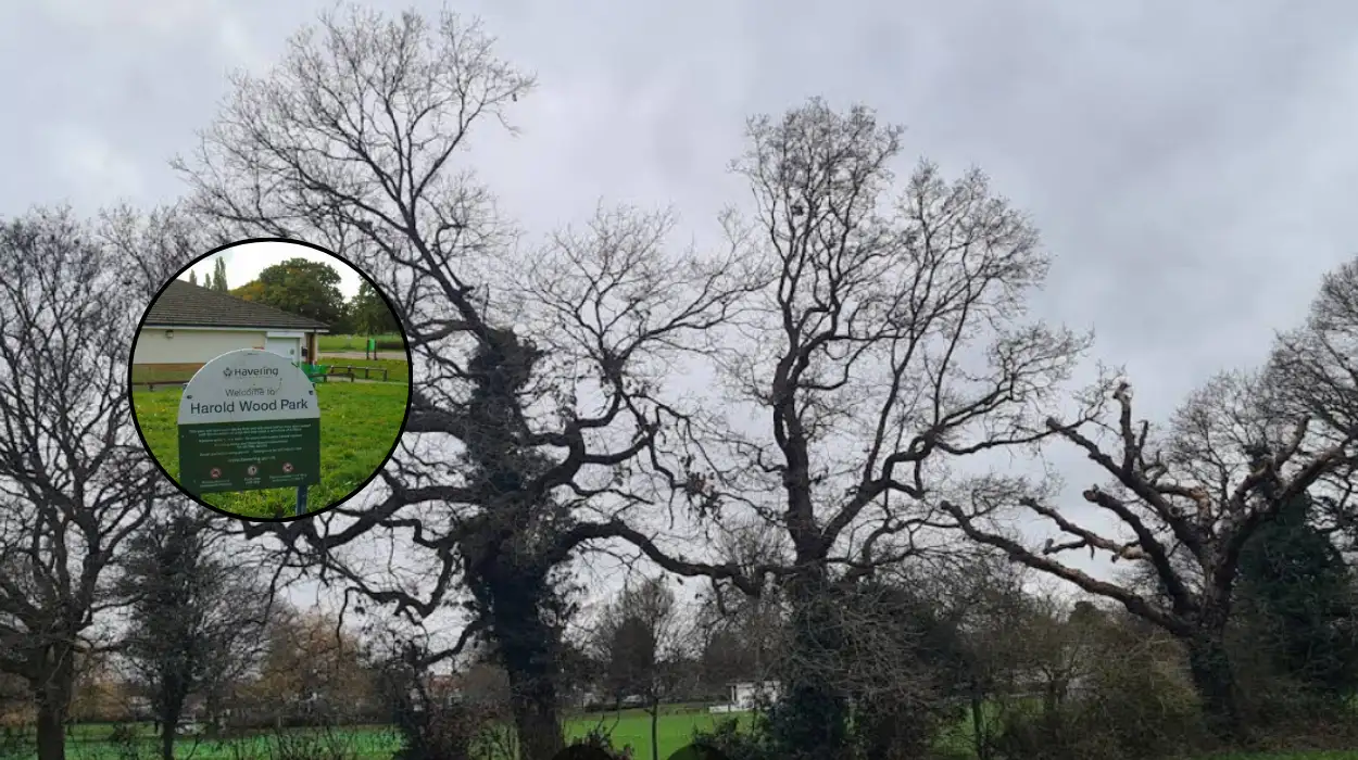 Harold Park Havering: History, Golf & Riverside Walks Guide