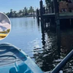 Kwelera Teens’ Sunrise Shark Scare Off East London Coast