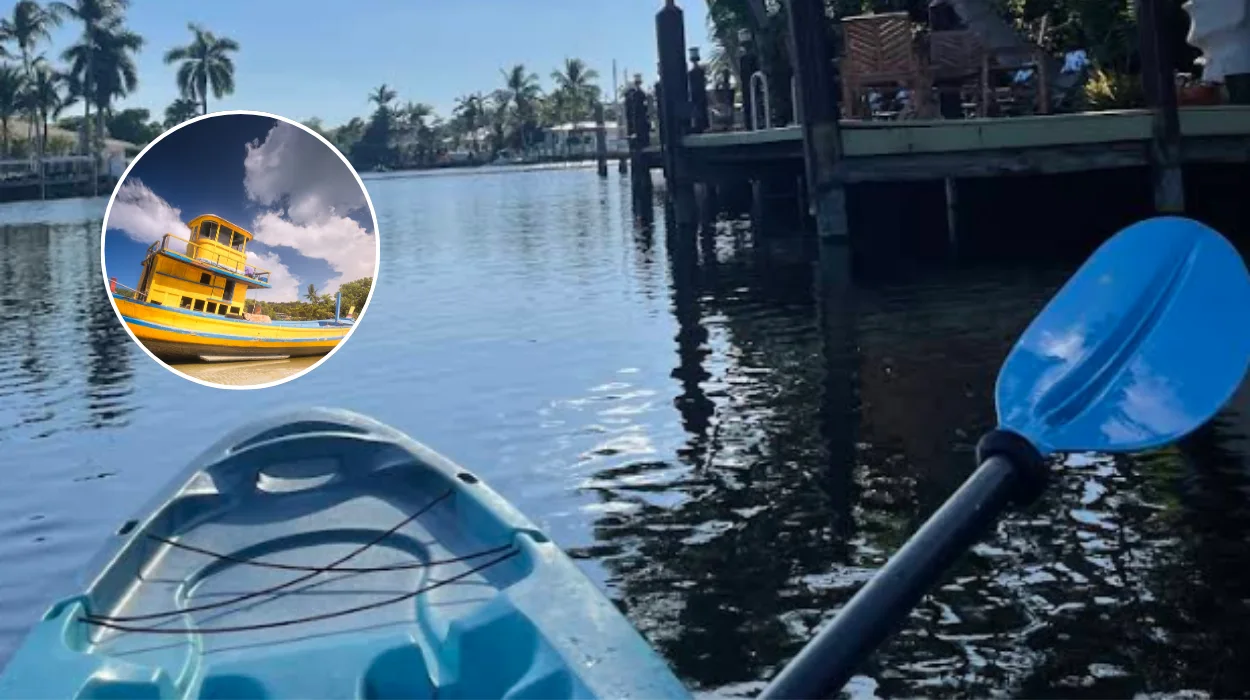 Kwelera Teens’ Sunrise Shark Scare Off East London Coast