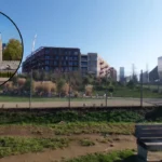 London Fields Hackney's Historic Park, Lido & Wildlife Haven_