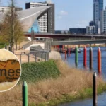 Newham Tops East London Crime in December 2025: Met Police Data