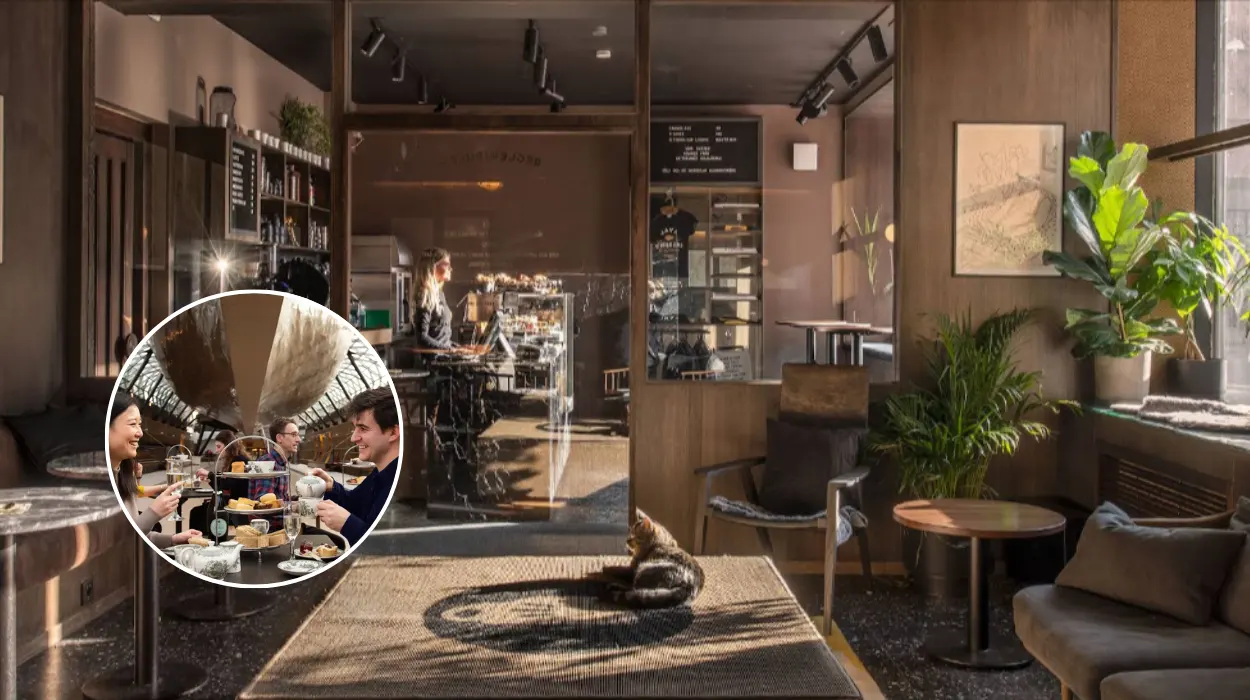 The Catty Sark Cat Café Expands East London’s Charm to Greenwich