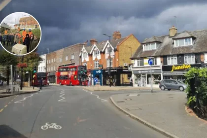 40 New Trees Planted on Hornchurch Liberty Line After Campaign 2026